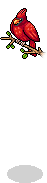 Kardinal