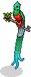 Quetzal