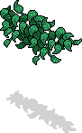 Üppiges Gartengewächs