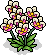 Orchideen-Pflanze