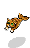 Katzenfisch