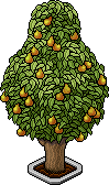 Birnenbaum