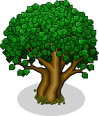 Baum der Freundschaft