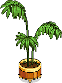 Gigantische Kamerplant
