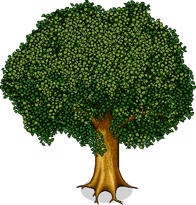 lidotree1 name