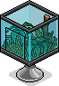 Terrarium
