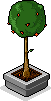 Früchte-Baum