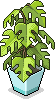 Wellness Baum