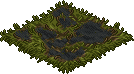 survival_c26_burntgrass name