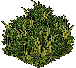 survival_c26_foliagefloor name