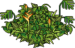 Tiki Dschungel