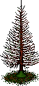 Alter Tannenbaum