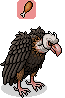 Schwarzer Geier
