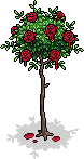 Bemalter Roter Rosen-Busch