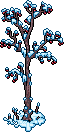 Winterlicher junger Baum